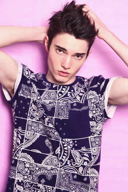 🐧 You Must Be Gay+ To View This Blog*