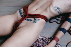 camdamage: from the archives: vi | cam damage by self [full videos/more here] 