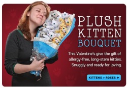 daunt:  karnythia:  whereyoustopthestory:  THIS IS A REAL ACTUAL THING ON THINKGEEK AND I WANT IT  Kitten Bouquet!  There is also a UNICORN BOUQUET! 8D  