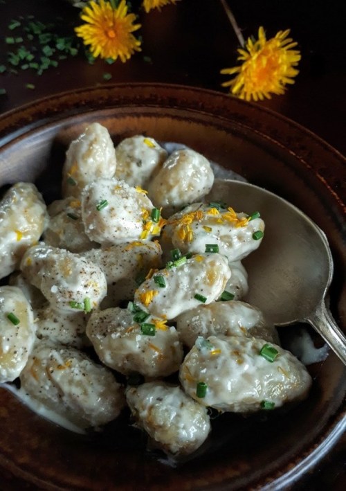 DANDELION BLOSSOM GNOCCHI: GOLDEN DUMPLINGS IN GARLIC CREAM SAUCE from Gather VictoriaI humbly propo