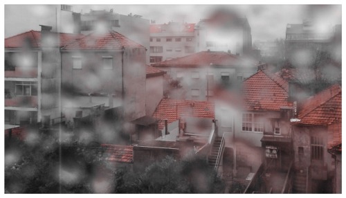 marinapotok: Bedroom Window, Rain (2014)