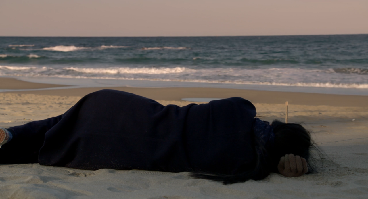 shittowatch:  On the Beach at Night Alone (2017)  