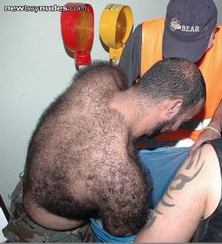 thehairiestmen: The Hairiest Men - archive of the hairiest men on Tumblr. 