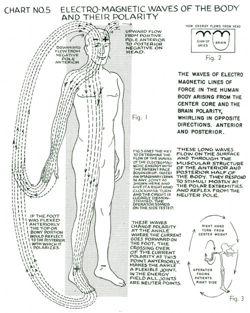 metanoia-world: Polarity Therapy  Charts 1-10 &ldquo;The Wireless Anatomy of Man&