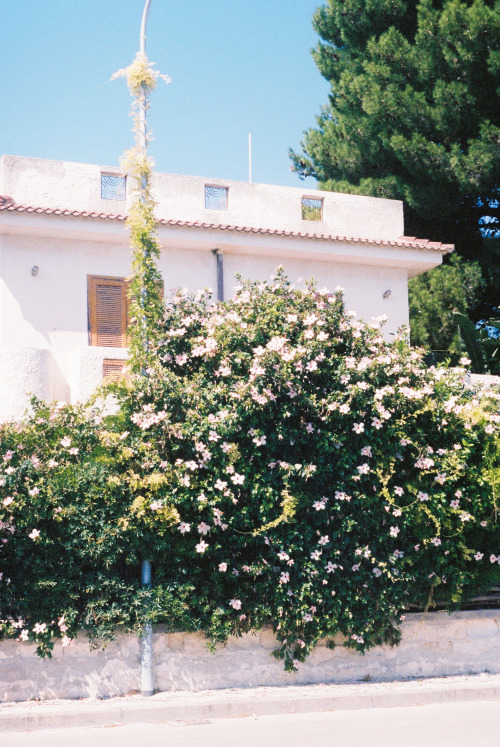 Sicily, 2019.peter arkley bloxham || instagram || prints