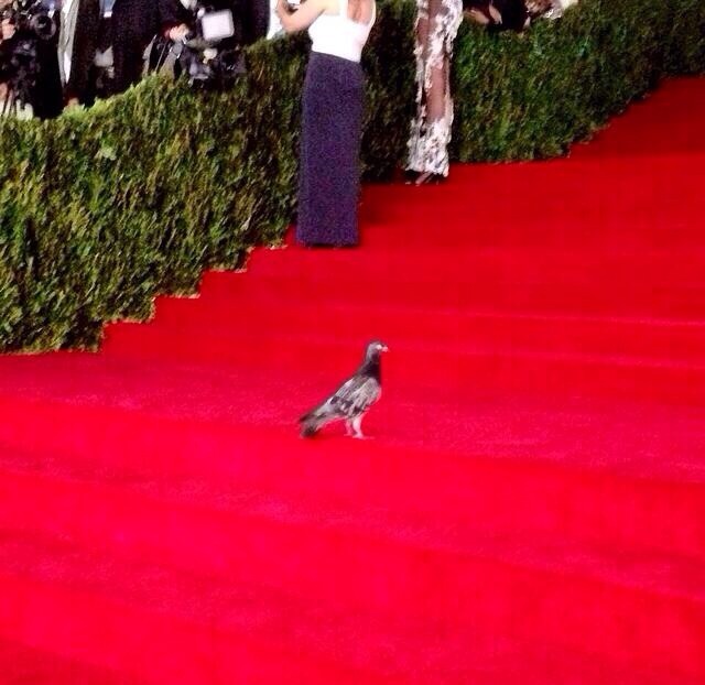 iamsosorry:  My Met Gala 2014 Best Dressed Pick! 