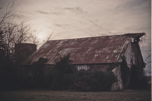 regalphotography: Adventuring with my Shelynne in January. Minolta 700 | Expired ISO 800 Kodak Film