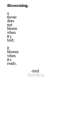 featherumbrellas:  thetalltwig:  Oh, the thoughts that creep into my mind at 2:56