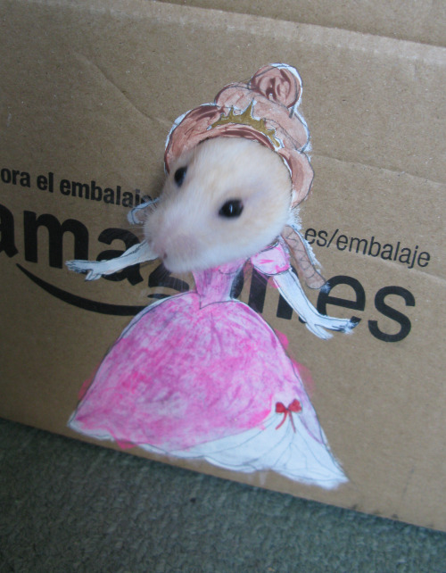 mythsandfabrications:My daughter wanted to dress up her hamster in dolly clothes, I told her that wa