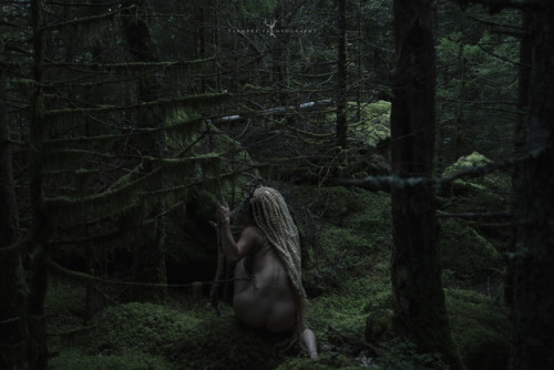 XXX woodland-sorcery:  ysambre-fauntography: photo