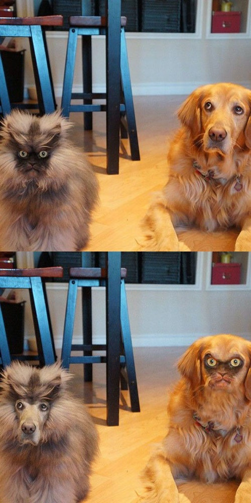 wastetheday:  LOl, photoshop magic! 