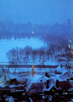 vintagegal:  Ruth Orkin- Christmas tree in Central Park, N.Y.C. at Tavern-on-the-Green,1974 