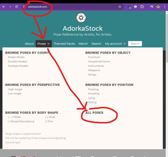 Screenshot of the AdorkaStock website and how to navigate to the poses