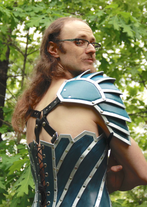 The Paladin Is A Noble Warrior. His Blessed Armor Protects Him From Harm, And His Holy Vows Help Him