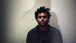 vavanessar:  The WEEKND &lt;3 