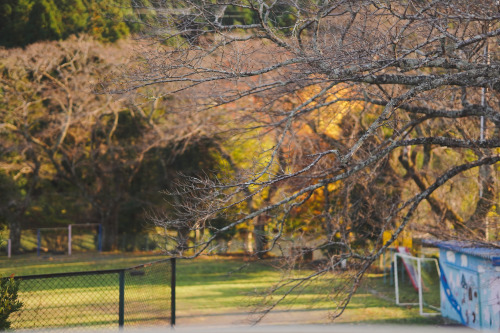 『ひだまりの学校』sony a6400 + SIGMA 56mm F1.4 DC DN | Contemporary2021.12location : 静岡県 Shiuoka, japan