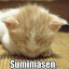 vikkiethesims4