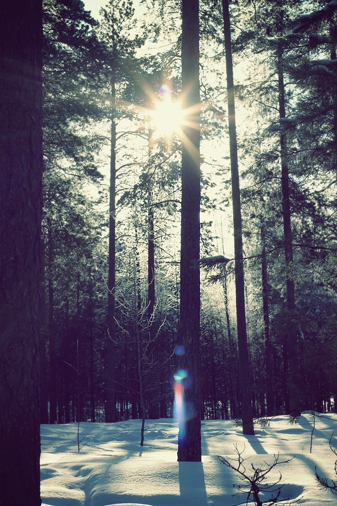 kuvatuksia