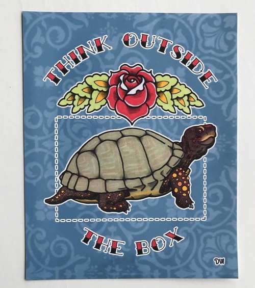 Three-toed box turtle print, 8x10. $10.#turtle #boxturtle #turtletattoo #Terrapene #Terrapenecarol
