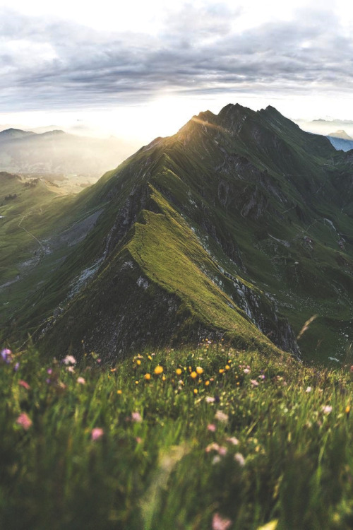 lsleofskye: The Brienzer Rothorn at sunrise | gullerpat