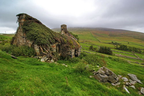 abandonedandurbex: Derelict Farmhouse in the grasslands of Wales. [OS] [1024 x 683]. Source: https:/