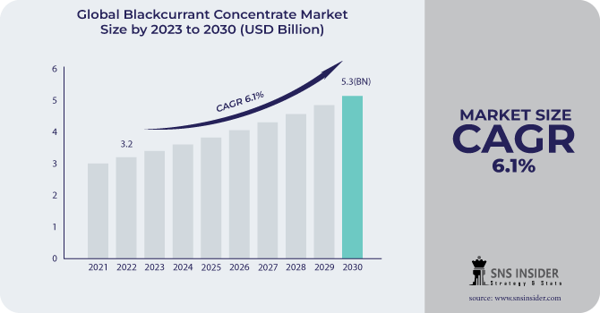 Blackcurrant Concentrate Market Analysis Size, Share and Overview 2031. – @swapnil4896 on Tumblr