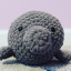 craftymermaid