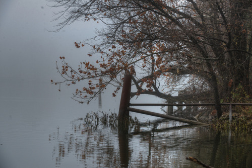 Foggy morning by jim_mcculloch&ndash;not posting much for a while on Flickr.