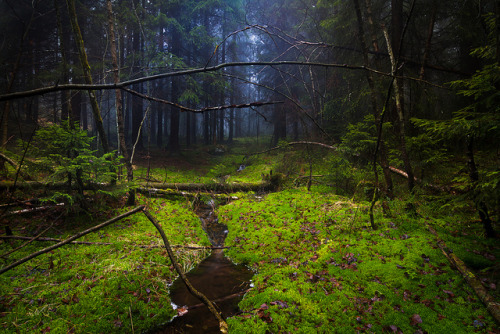 Fairy Playground by Trond Strømme on Flickr.