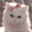 drlingprincess