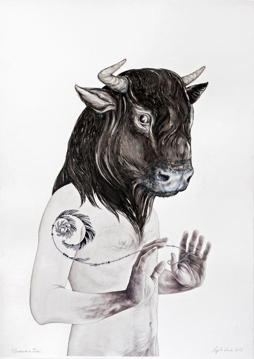Illustrations by Agata Kawa