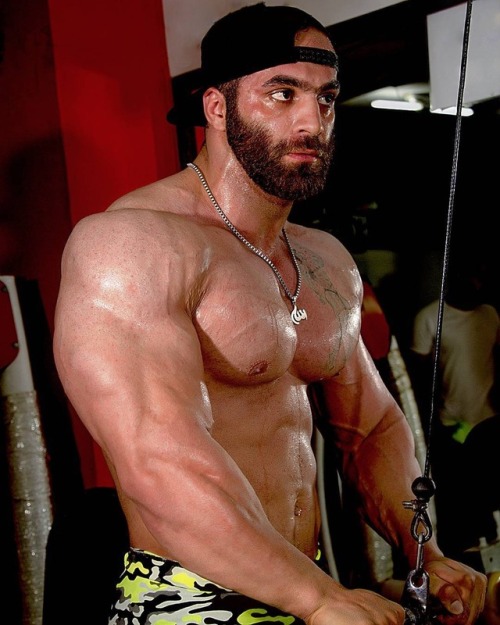 ZachMuscle
