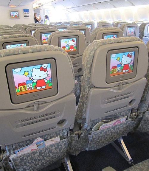 Porn Pics pastelm00n:  On Wednesday, EVA Air’s “Hello