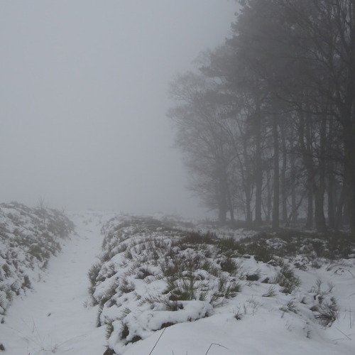 Winter walks in Yorkshire