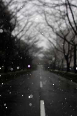 10bullets:  Tokyo Snow Falling* (by art_you)