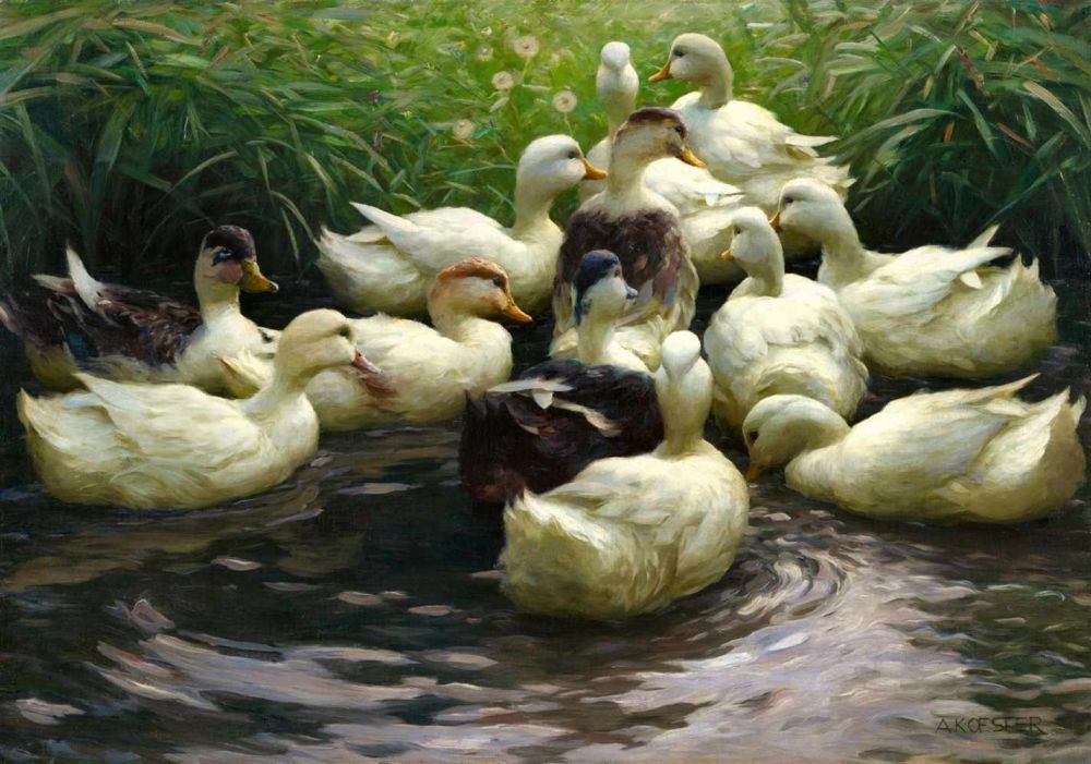 art-and-things-of-beauty:  Alexander Koester (German, 1864 - 1932) - Ducks, oil on