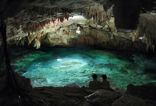 Cenotes are massivesinkholes formed when a cave&rsquo;s ceiling collapses underwater, creatinga netw