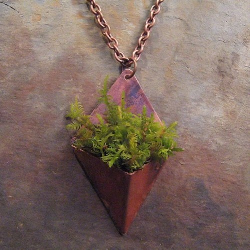 Love this unique Handmade natural living moss necklace from #copperhead ! etsy.me/1BLgHQK Che