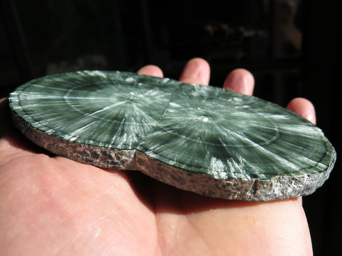 ghminerals: 5.25 inch Twin Seraphinite (Clinochlore) stalactite polished slice, Irkutskaya Oblast, E