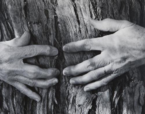 thecloudiestday: Wynn Bullock, Woman’s Hands (1956)  