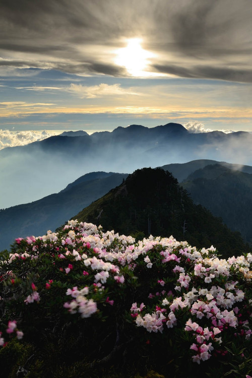 ponderation:  Hehuan Mountain by Pauzmantoll  adult photos