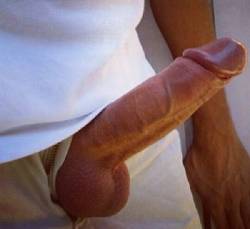 biblogdude:  Local cock