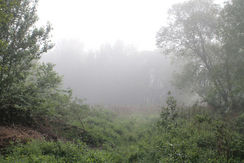 Kampinoski NP, Mazowsze, Poland by LeszekZadlo on Flickr.