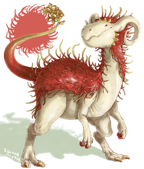 iguanamouth:fruit dragons !click through to see whats what - fun fact the dragonfruit was the First 