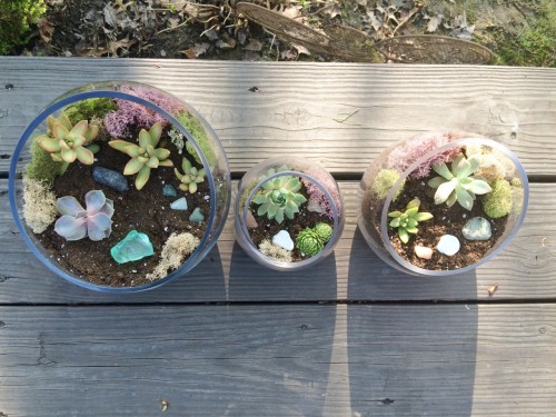 Made some new babes yesterday