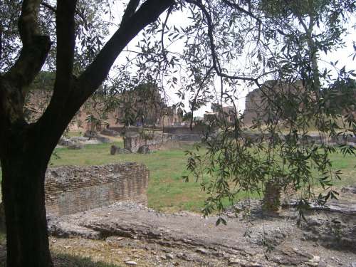 byericacameron:Palatino in Rome, Italy (photos byericacameron)