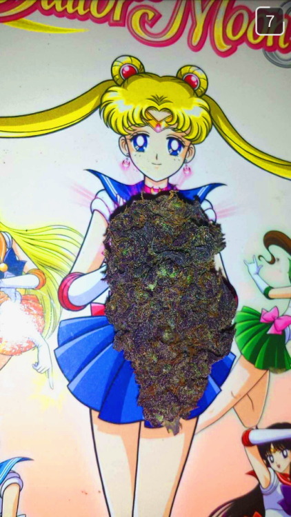 smoketogethighcustheworldissolow:  morceaux-sanglants:  Princess purp at your service   @indica-illusions