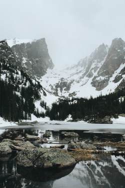 expressions-of-nature:  by Christina Devictor