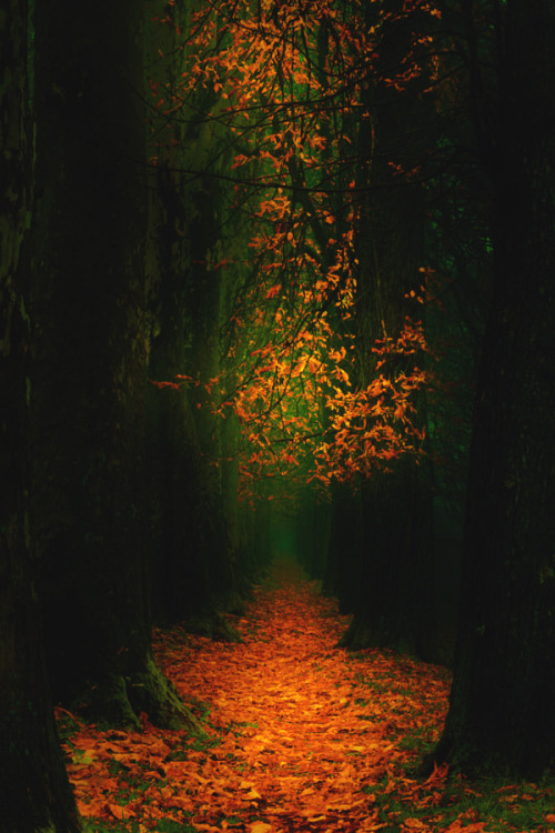 lsleofskye: Pathway |Mevludin Sejmenovic