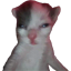 meepmeepberp